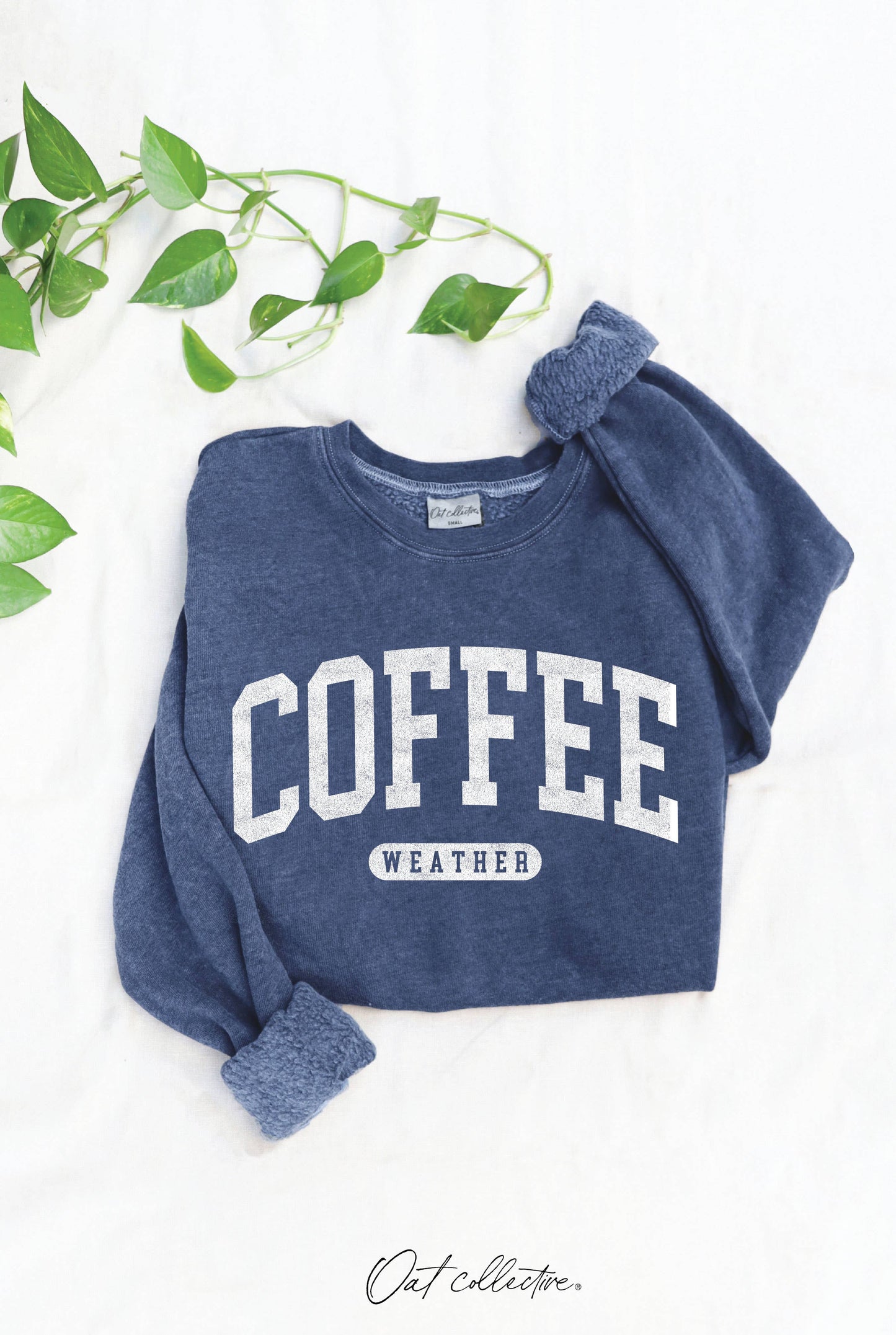 COFFEE WEATHER Mineral Graphic Sweatshirt