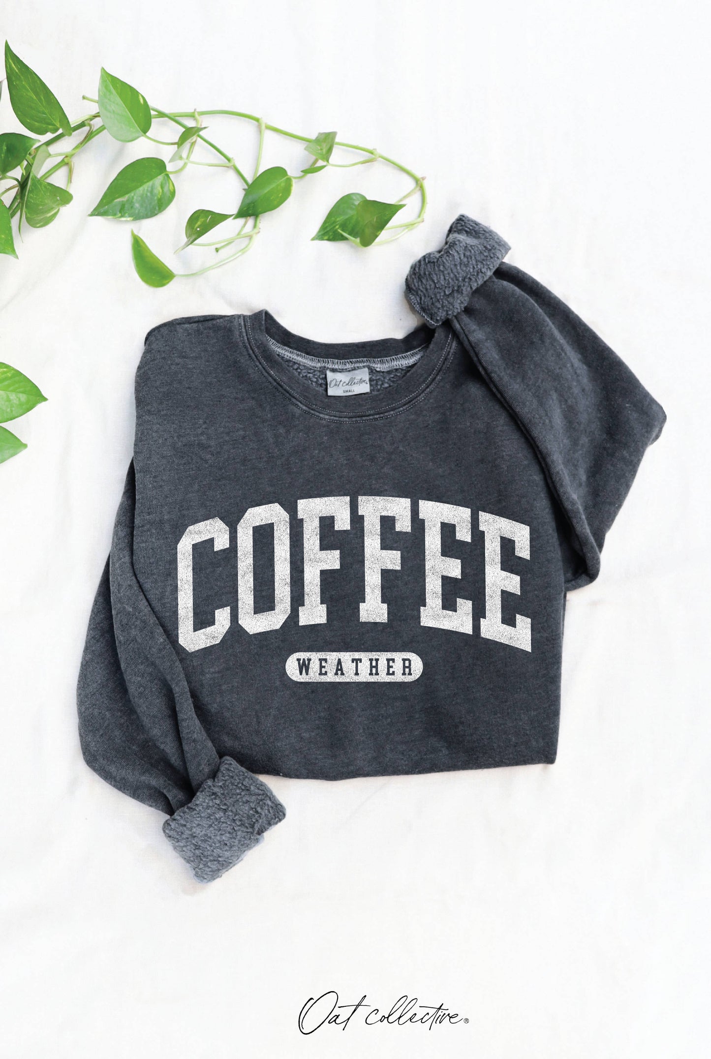 COFFEE WEATHER Mineral Graphic Sweatshirt